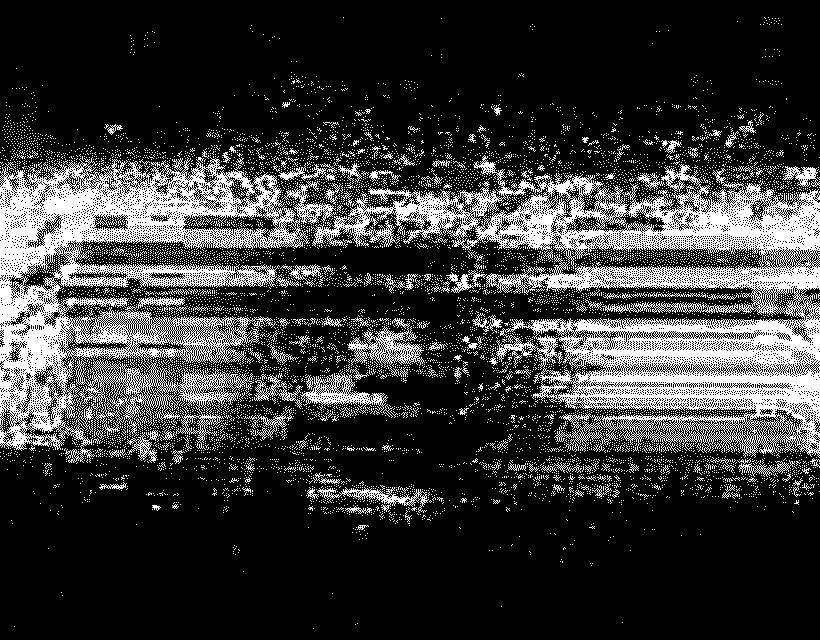 Animated black-and-white experimental image